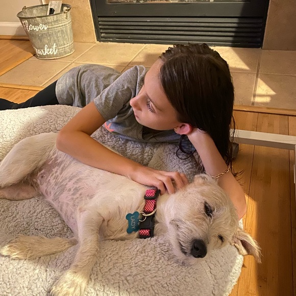 Meet your Posher, Daisy - Picture 1 of 3